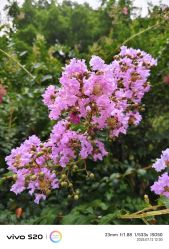 -明匠曲蛋糕西点屋(穗花新村店)