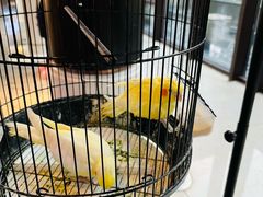 -上海崇明金茂凯悦酒店
