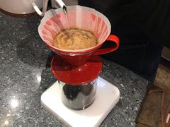 -命运咖啡馆Destiny Coffee
