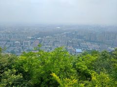 -杭州半山国家森林公园