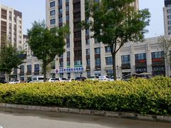 -欧奕国际动物医院