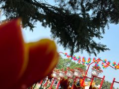 -北陵公园