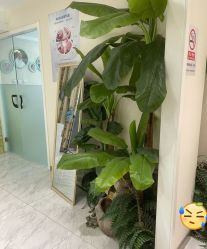 -健身堂科技美肌SPA