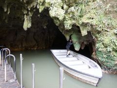 -怀托摩萤火虫洞