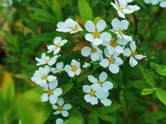 -苏州河梦清园环保主题公园