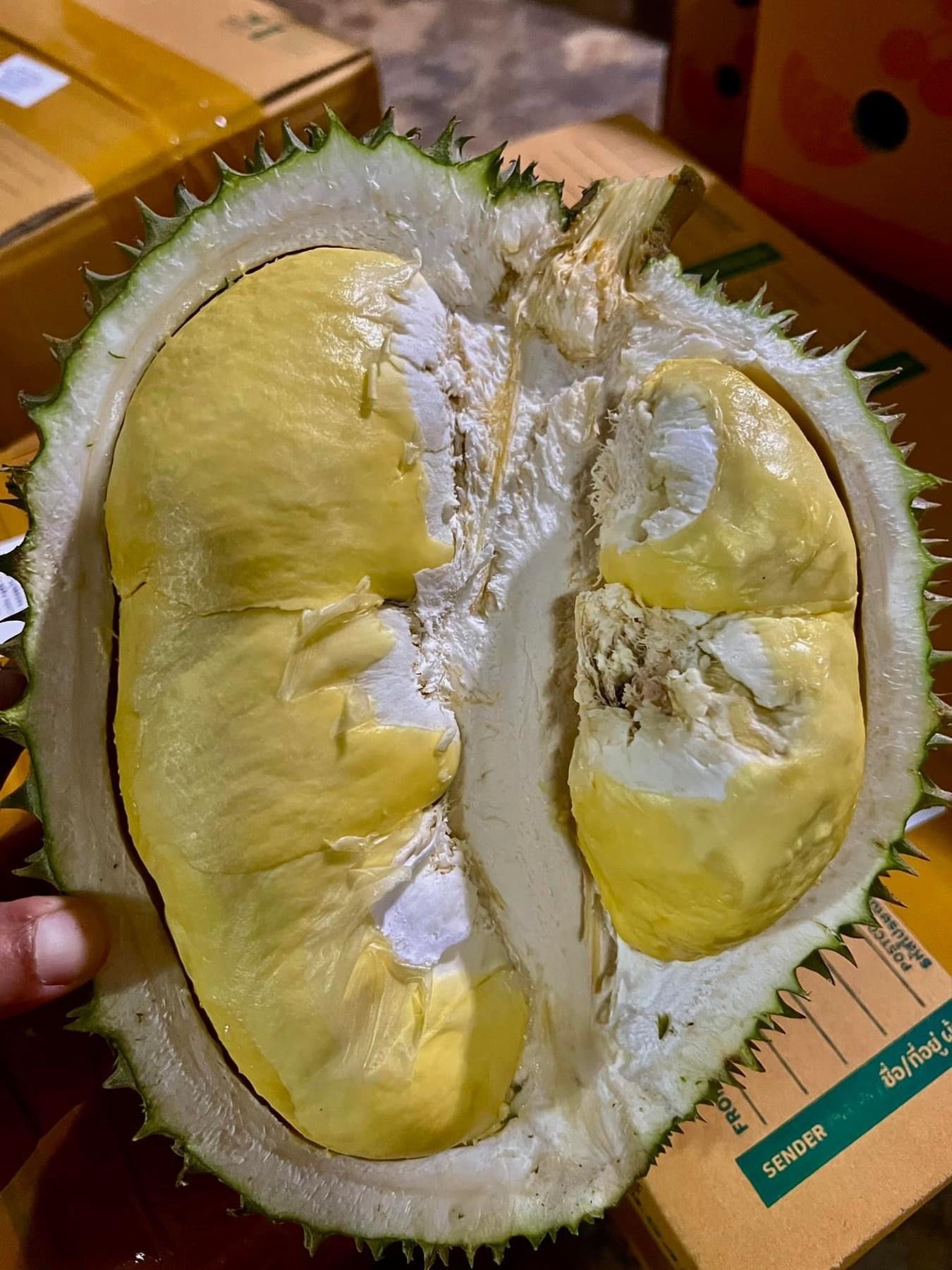 高端空运树熟榴莲