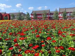 -长春北湖公园