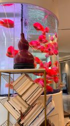 -新蝶变皮肤管理中心