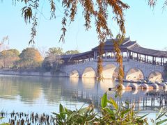 -长广溪湿地公园