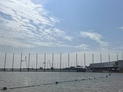 -碧海金沙