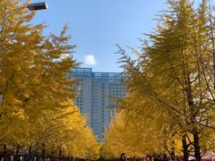-辽宁大学(崇山校区)