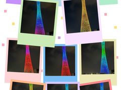 -珠江夜游天字码头