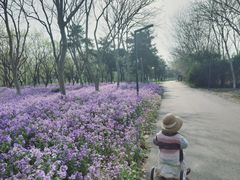 -江苏三台山国家森林公园