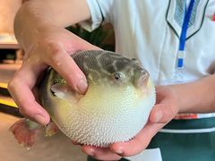 -永安鱼庄·镇江菜(东吴路店)