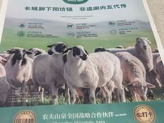 -阳坊胜利涮羊肉(阳坊老店)
