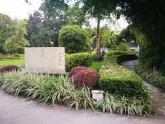 -晓港公园