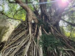 -海角城白海豚浪漫海滩