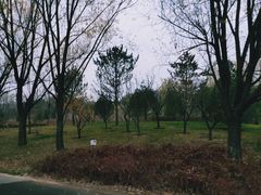 -迎泽公园