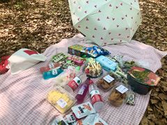 -蜀冈西峰生态公园