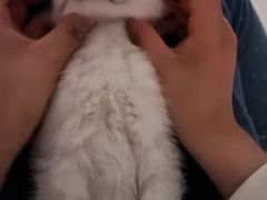 -联合动物医院(光谷诊疗中心)