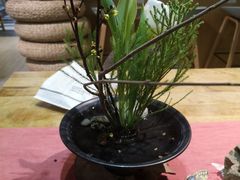 -扫雪煮茶(西村店)