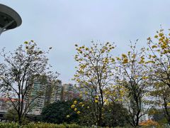-广州西关永庆坊旅游区