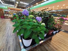 -新荟城(望京店)