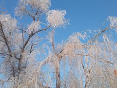 -长春市南湖公园