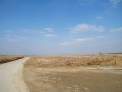 -盐城丹顶鹤湿地生态旅游区