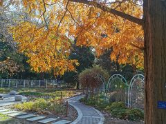 -国家植物园南园