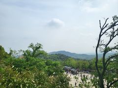 -牛首山文化旅游区