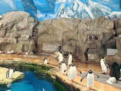 -香港海洋公园