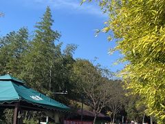 -敬亭山风景名胜区