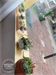 -新蝶变皮肤管理中心