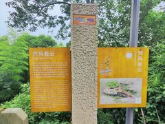 -缙云山景区