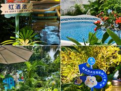 -清泉湾生态旅游度假区