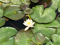 -贵阳市花溪国家城市湿地公园