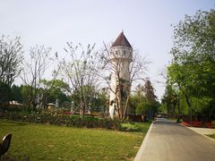 -东平国家森林公园