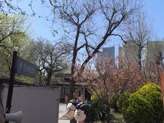-静园(和平区)