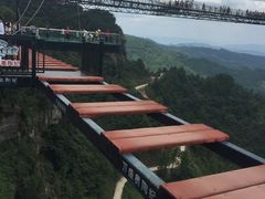 -梦幻奥陶纪景区