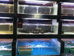 水产区-徐记海鲜(阿波罗店)