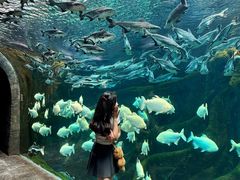 -波塞冬旅游度假区