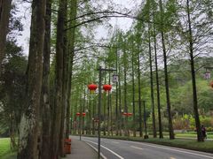 -青城山