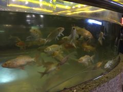 -中影国际影城(兰生大厦CINITY LED店)