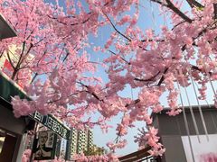 -首开·龙湖成都西宸天街