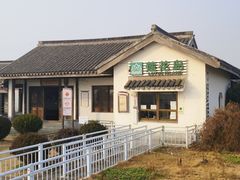 -莲花岛景区