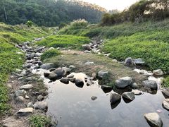 -东莞市大岭山森林公园