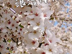 -龙美术馆(西岸馆)