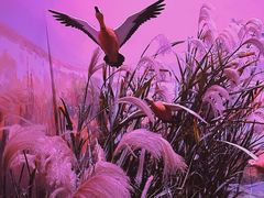 -中国湿地博物馆