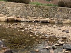 -北仑森林植物园